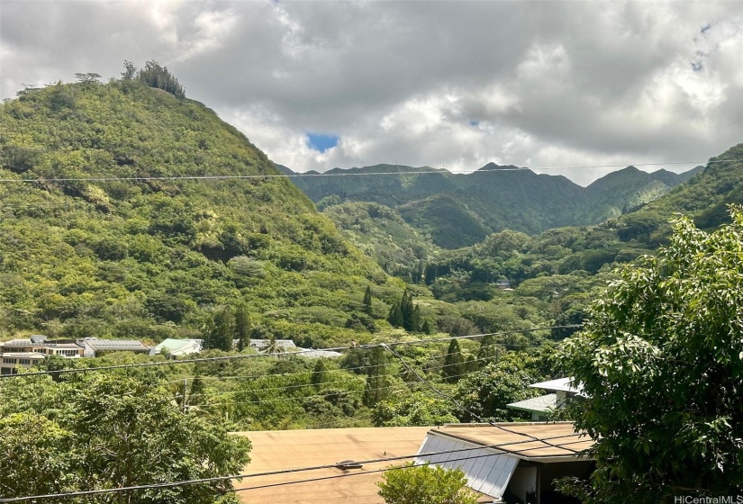 View from livingroom window