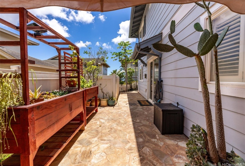 Backyard Planter Boxes