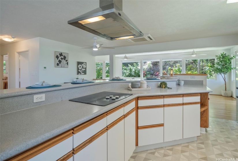 Ample counter and cabinet space with views from every angle.