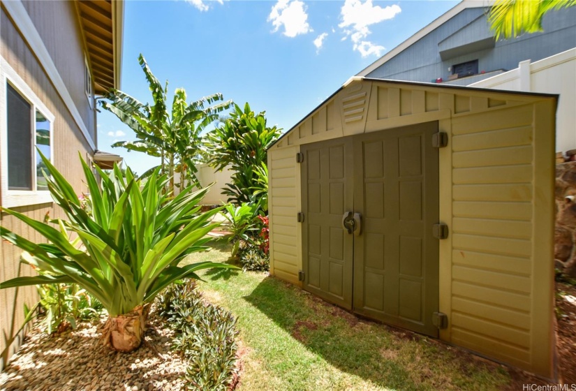 Apple banana trees and tropical plants landscape the other side of the yard.  Store all of your yard tools or your beach toys in this storage/shed.