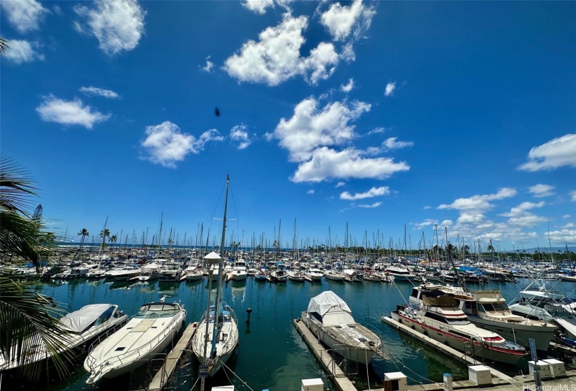 Beautiful Marina Front views!