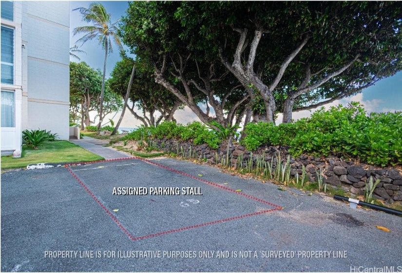 1 Assigned Parking Stall