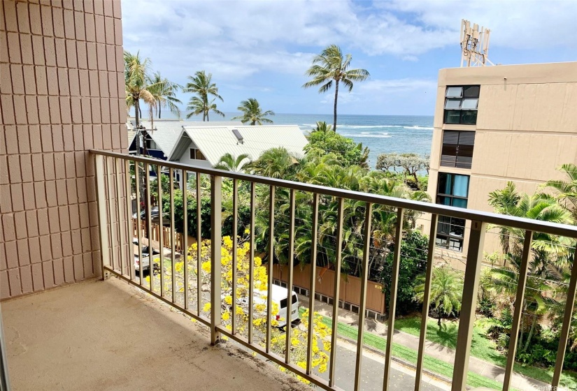 Lanai for lounging, surfboard storage and plants