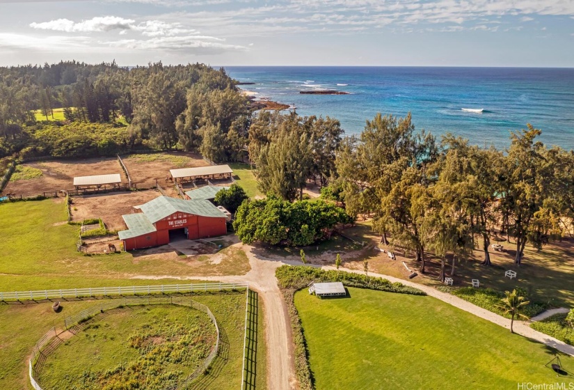 Fancy a horseback ride?  What a gorgeous location to go riding