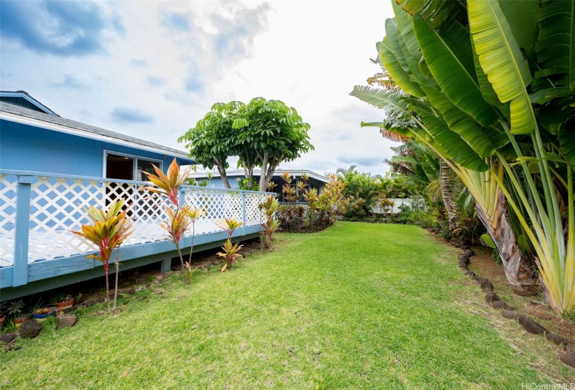 Lush Backyard