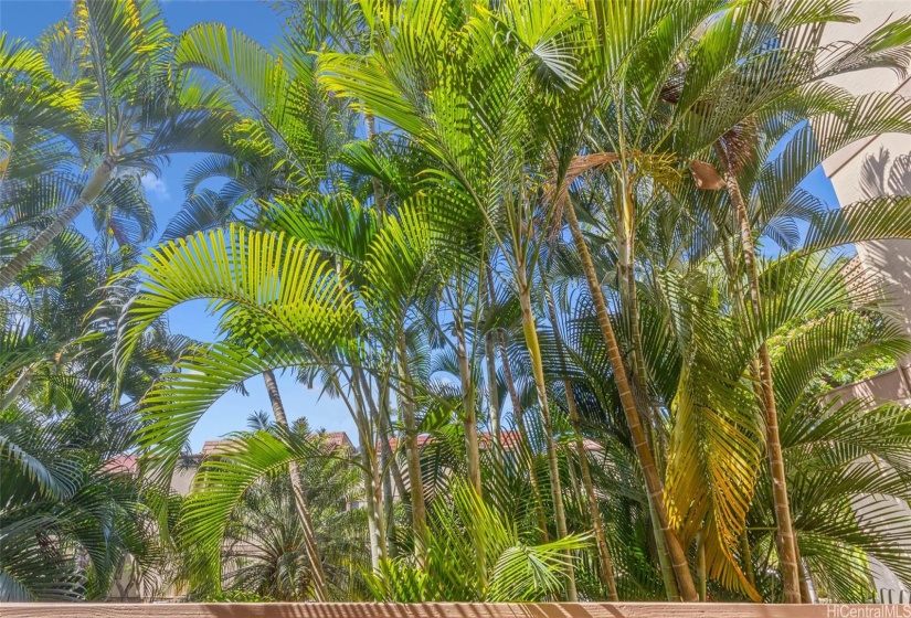 Private lanai view.