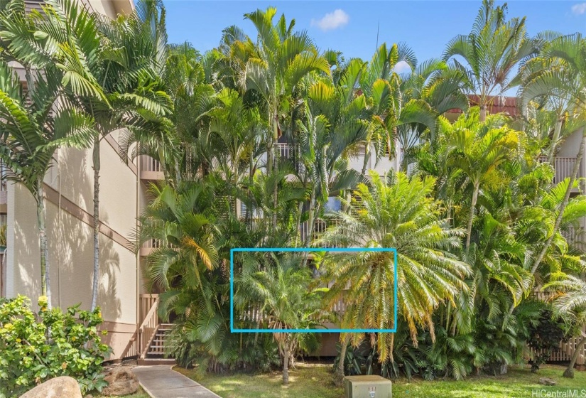 Ground floor unit with large private lanai.