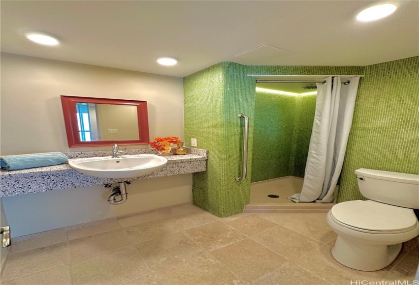 The bath was updated with contemporary lighting and rain shower.