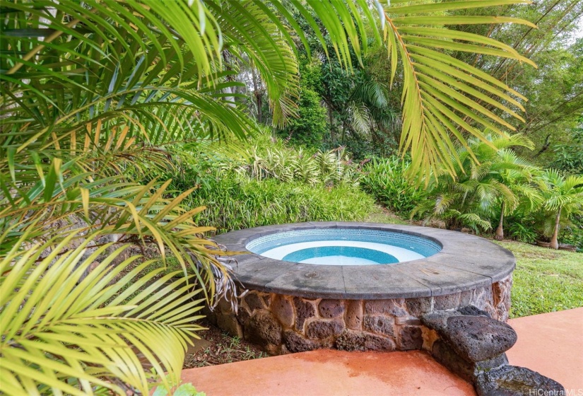 6 Person Jacuzzi Hot-Tub nestled in Botanical-Garden-Like setting!