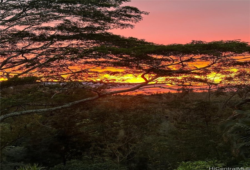 Incredibly Peaceful View - Out of this Tropical Valley to the Ocean and Sunsets!