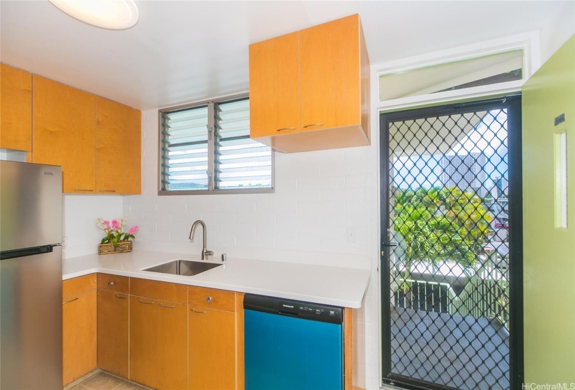 Kitchen windows are custom built and the plastic blue  sheeting on the dishwasher is just to protect the stainless finish ... definitely may be removed by new owner.