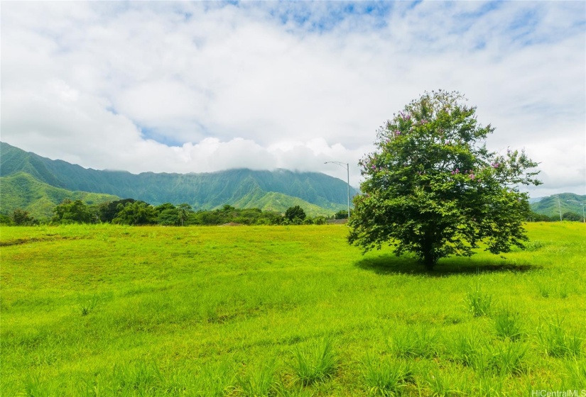 State land in front of house