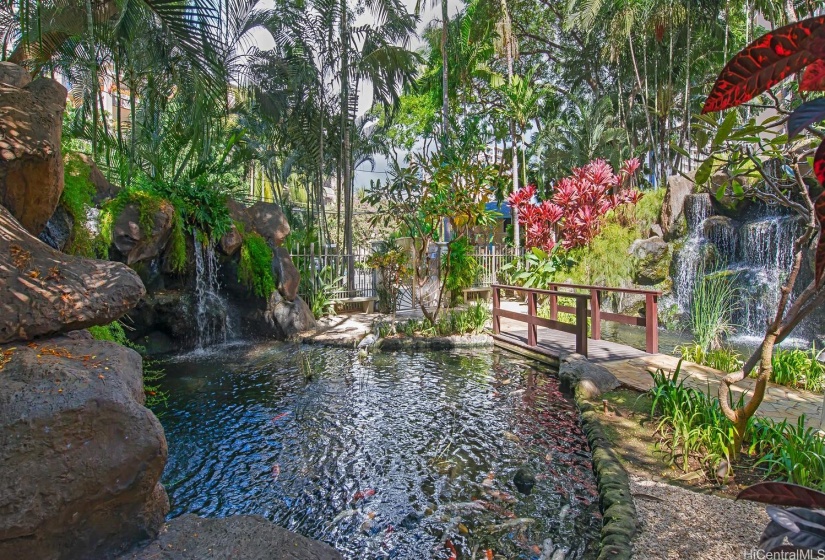 Front Entrance with waterfall Koi pond