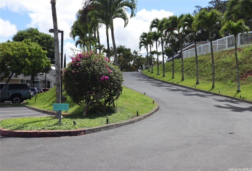 driveway to pool/playground