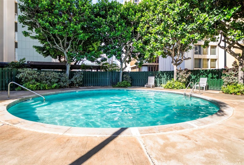 Private pool with recliners for sunbathing