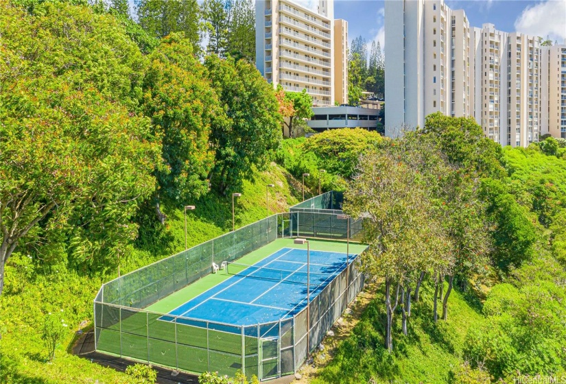 tennis and pickle ball court