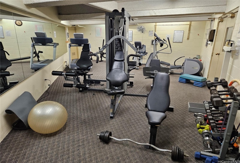 Gym/excercise room and saunas