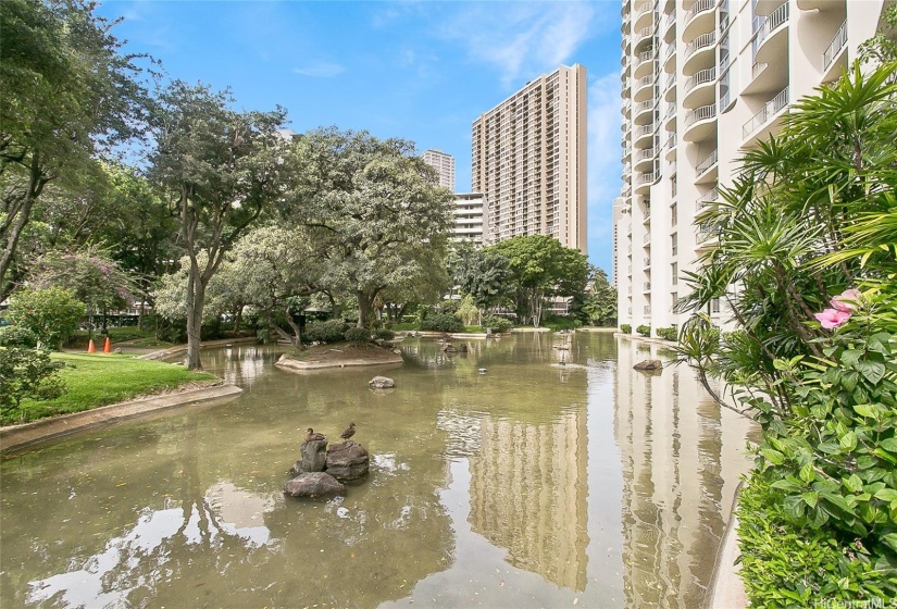 Waipuna is known for its pond and landscaping.