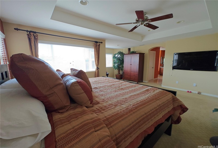 Looking towards the bathroom, there are two large closets on either side of the hallway.