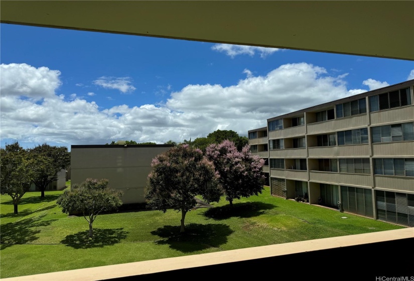 Gorgeous courtyard views