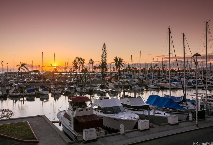 Night time view of boat harbor