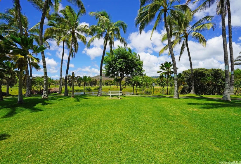 Lush green landscape