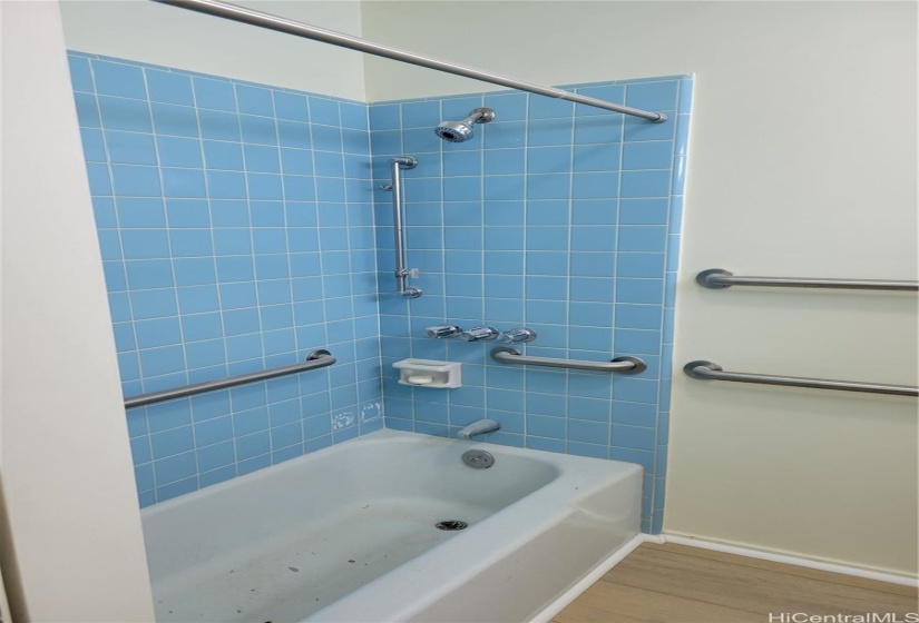 Primary shower/tub