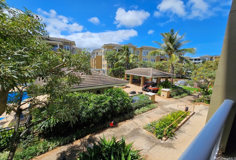 View from Lanai