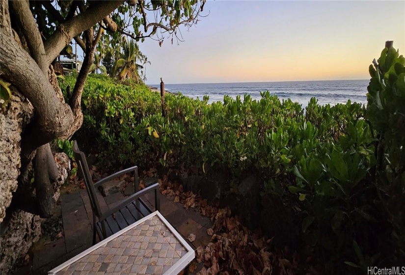 View from the yard under the Hau tree.