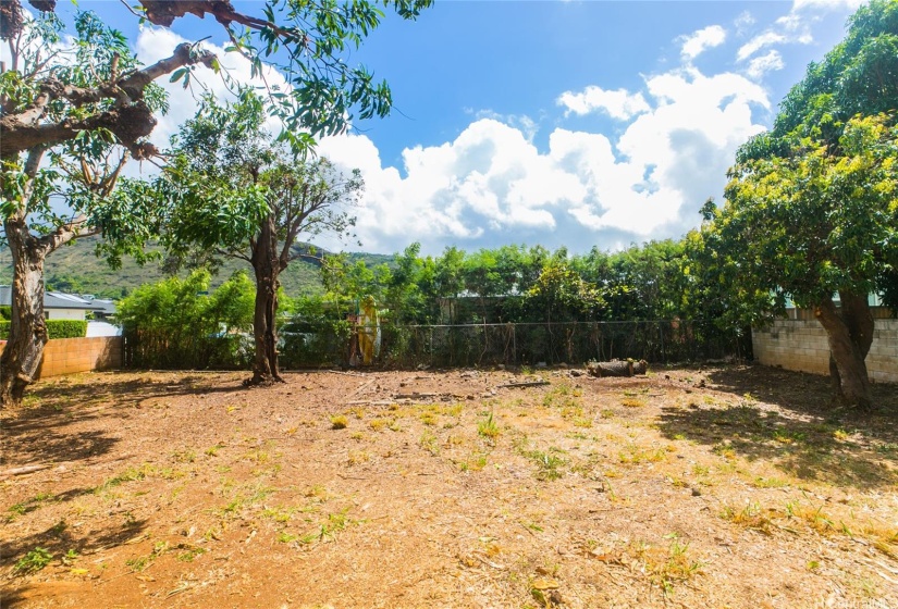 Large, spacious yard ready for your landscaping touches or expansion of the home!