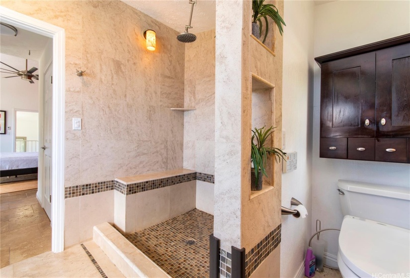 Master bath with large separate shower