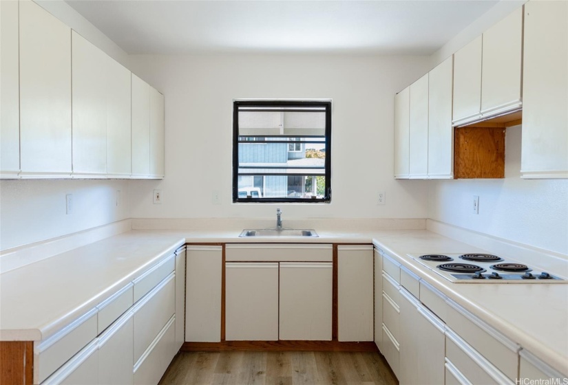 Kitchen of Extended House.