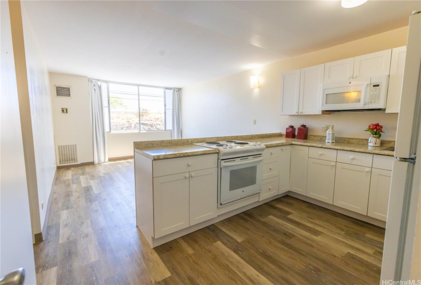 Open Concept Living Room/Kitchen