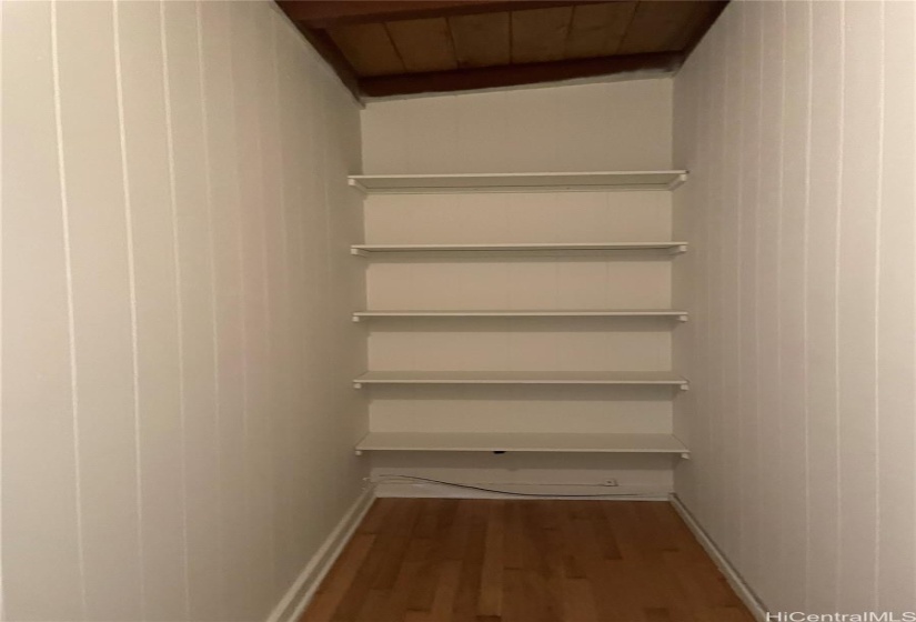 Large interior storage closet with built-in shelving.