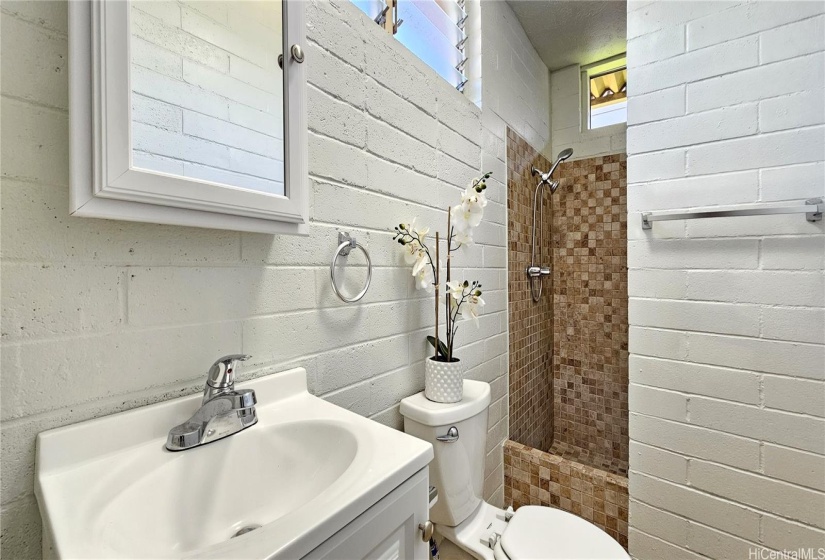 Full Shower in lower level