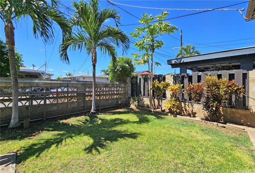 Spacious front yard with papaya tree