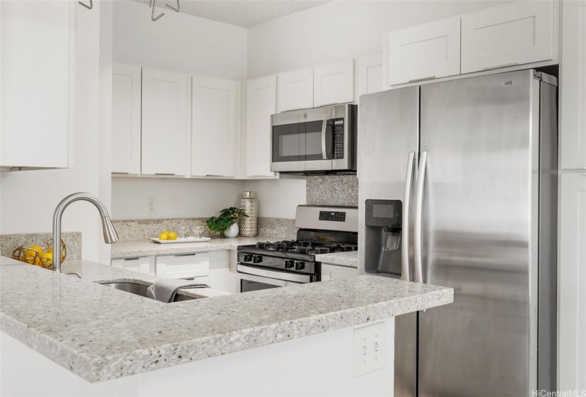 Fully remodeled kitchen with quartz counter tops, real wood shaker cabinets and stainless steel appliances