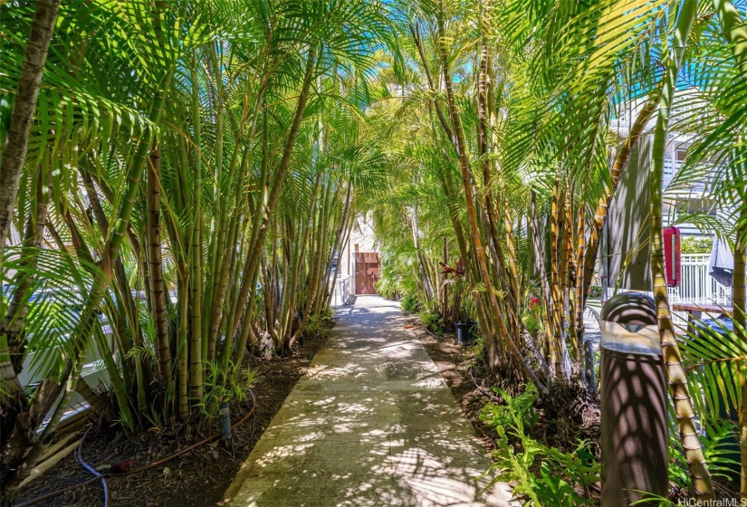 Tropical walk to the laundry room