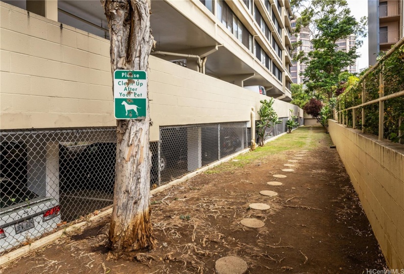 A dedicated dog park for your furry friend