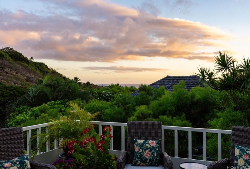 view out to the ocean above the tree tops