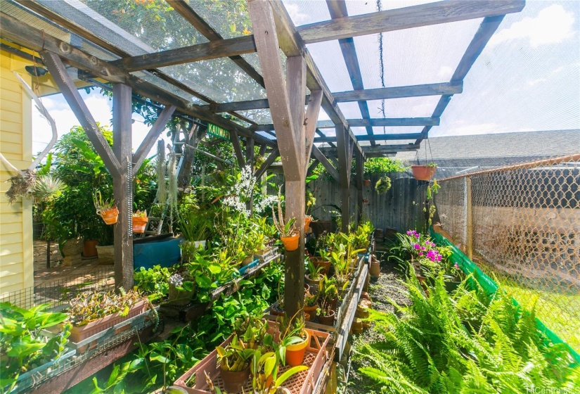 Beautiful green house garden.