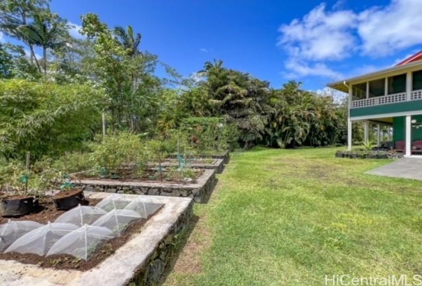 3 new vegetable beds provide the grower space to plant a variety of vegetables.