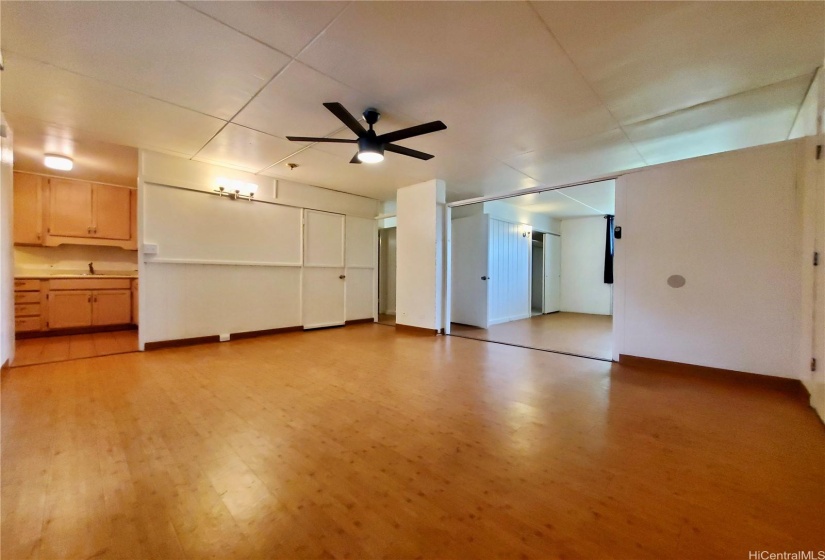 Large Living Room with Ceiling Fan and Storage Closet