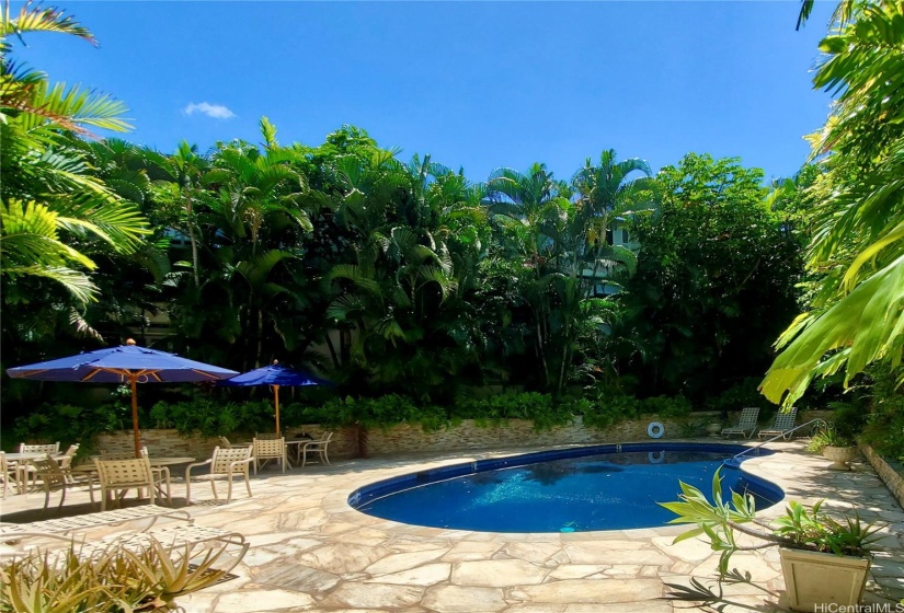 Community Pool with Lush Tropical Landscaping, Lounge Chairs, and Shade Umbrellas