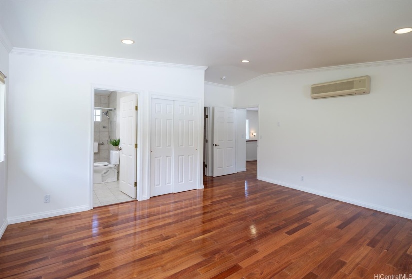 Another look at the primary bedroom.  There's a full bath, large walk-in closet and a separate closet.  Note the a/c too