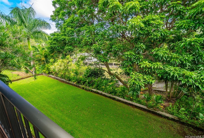 Surprise!  A level rear yard leading to the stream easement below. Taken from upper deck.