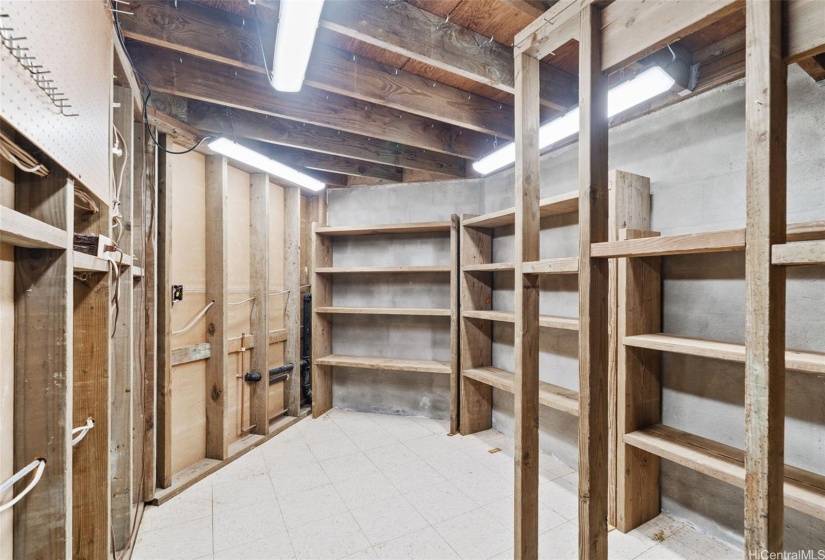 You want storage?  This home has it all over the place!  This is interior on the bedroom level of the home. Shelves included. Automatic motion lighting.