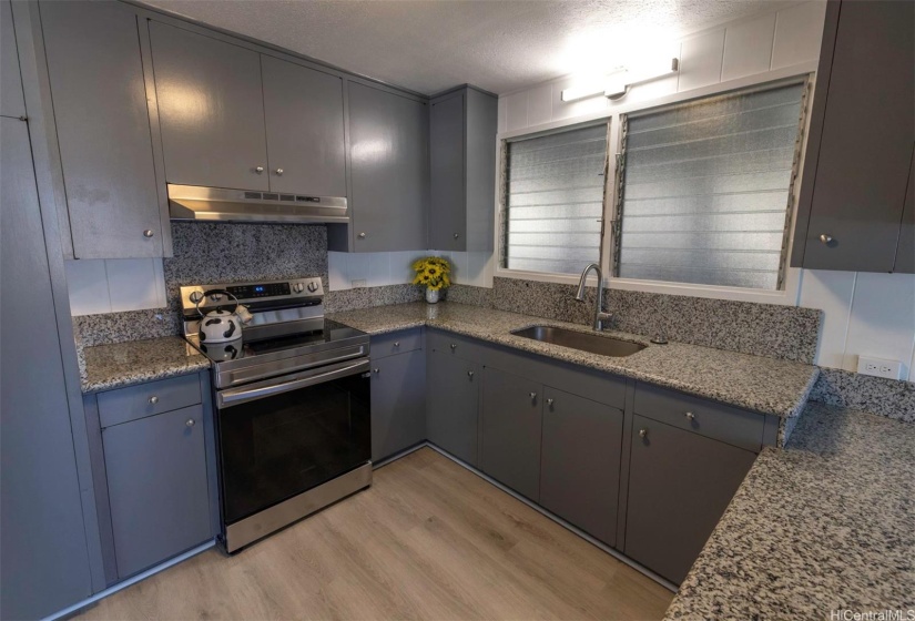 Remodeled Kitchen with new range/hood/lights/faucet.