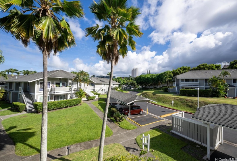 View from lanai