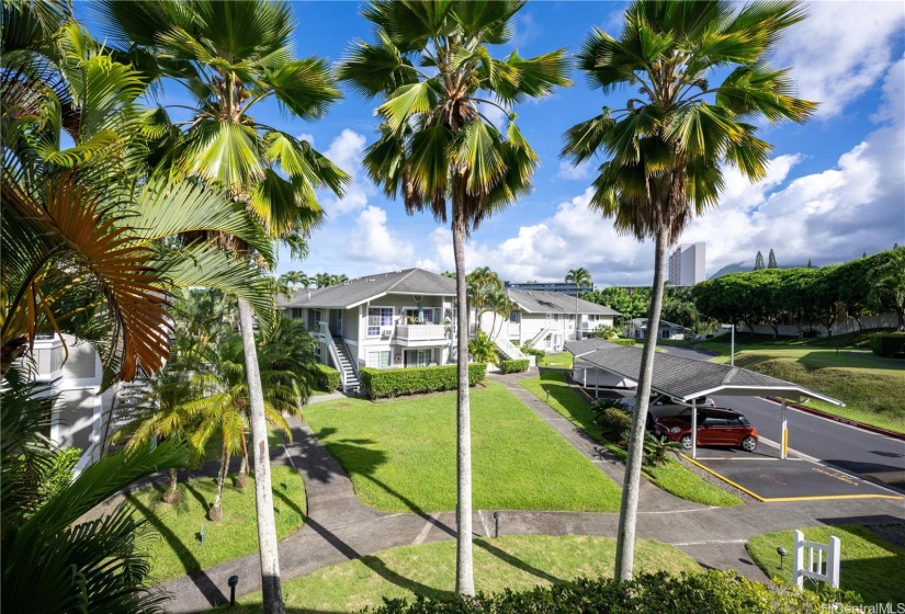 View from lanai